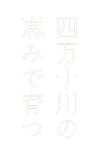 四万十川の恵みで育つ